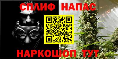 СК Славянск-на-Кубани