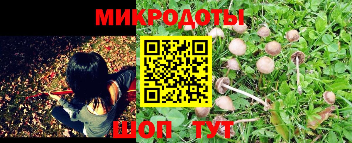Псилоцибиновые грибы мицелий Родники