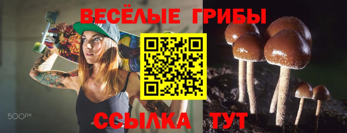 Родники  Галлюциногенные грибы Psilocybe  Вход с VPN 