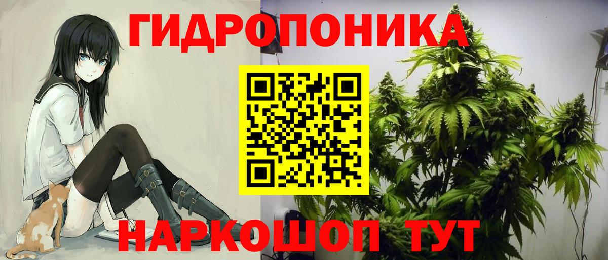 Конопля семена Родники